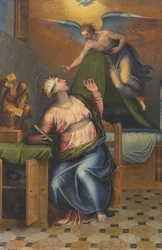 Immagine sconosciuta